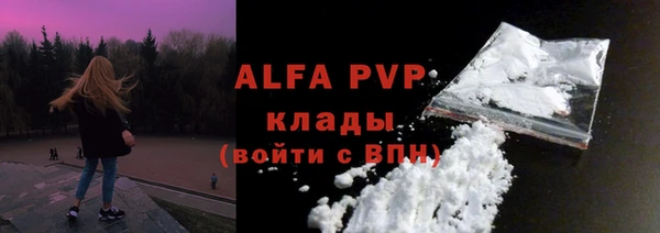 индика Абаза