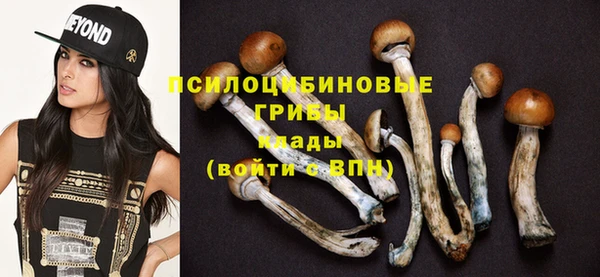 индика Абаза