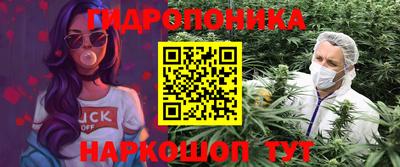 ECSTASY Лесосибирск