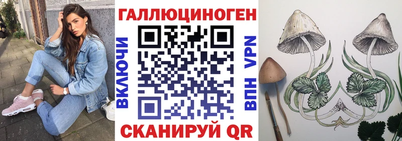 shop клад  где купить   Зеленокумск  Псилоцибиновые грибы мухоморы 