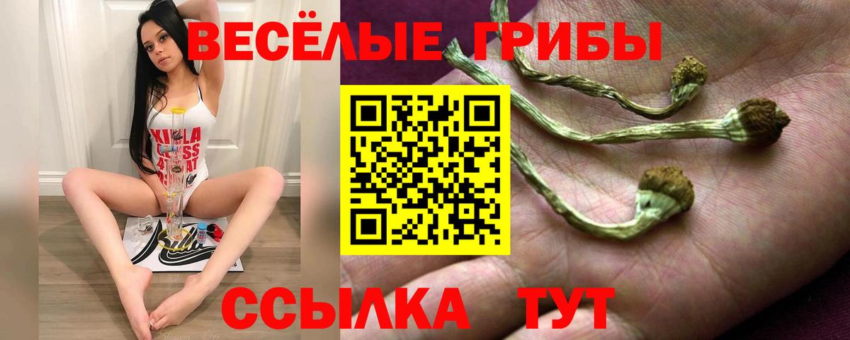 Галлюциногенные грибы мухоморы Зеленокумск